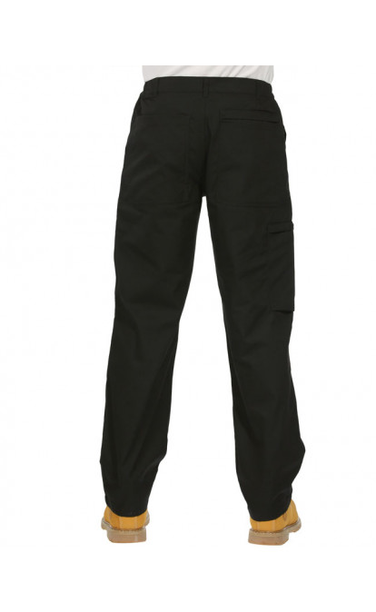 Regatta Mens Action Pants Long,