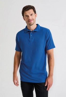 Stud polo Royal