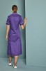 Classic Collar Healthcare Dress, Purple with White Trim